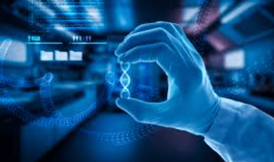 The Role of Blockchain in Healthcare