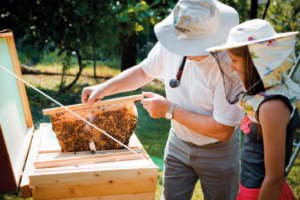 How Beekeeping Is Helping Communities Reconnect With Nature