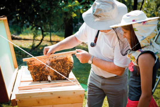 How Beekeeping Is Helping Communities Reconnect With Nature